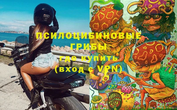 стафф Богородицк